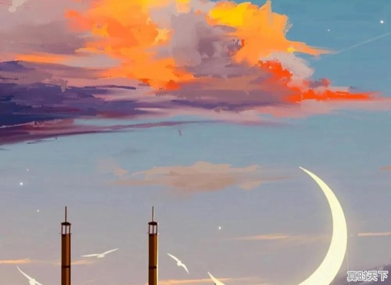 你听过最干净的句子是什么 - 真时天下