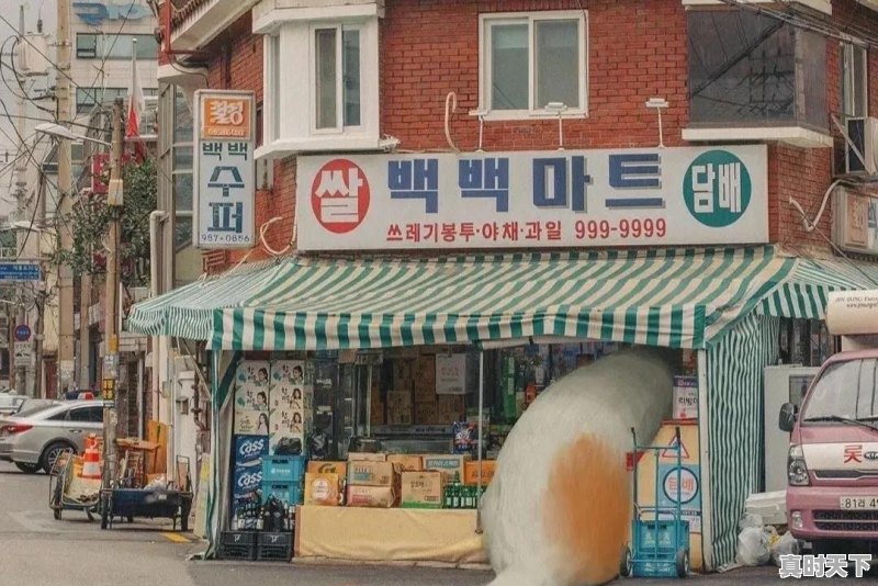 你听过最干净的句子是什么 - 真时天下