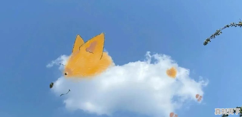 你听过最干净的句子是什么 - 真时天下