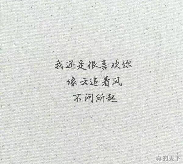 你听过最干净的句子是什么 - 真时天下
