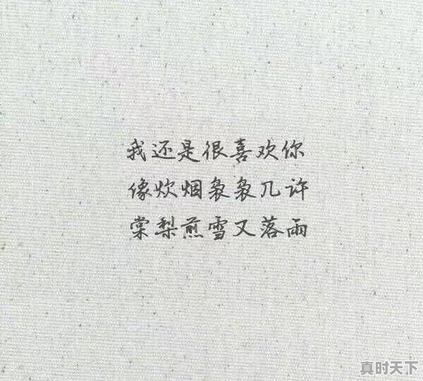 你听过最干净的句子是什么 - 真时天下