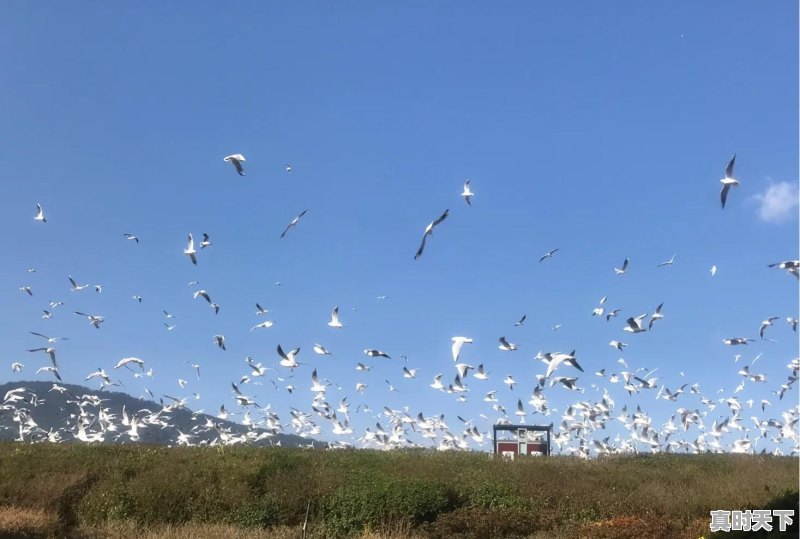 现在云南昆明买房保值还行吗 - 真时天下