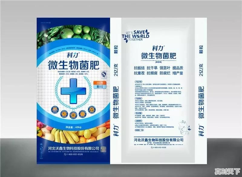 潍城区今日西红柿价格 - 真时天下