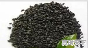 潍城区今日西红柿价格 - 真时天下