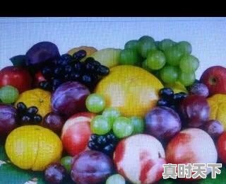 潍城区今日西红柿价格 - 真时天下