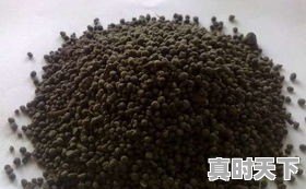 潍城区今日西红柿价格 - 真时天下