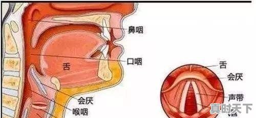 在炎热干燥的天气里，有咽炎的人应该注意什么 - 真时天下