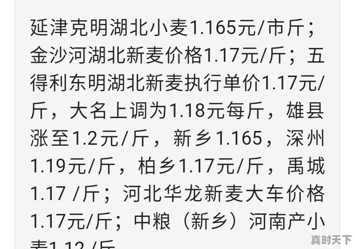 河南小麦开镰价格低至三五毛，农民收益如何保 - 真时天下