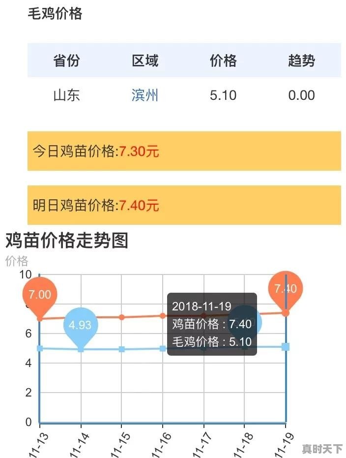 现在为什么白羽肉鸡苗这么便宜了 - 真时天下