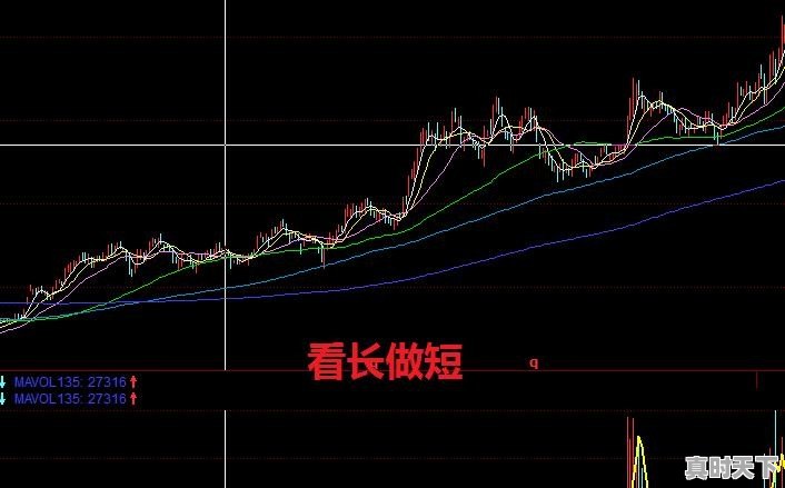 在今日头条中你找到（发现）股票高手了吗？他们是谁 - 真时天下