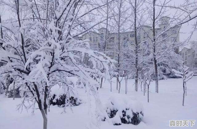 1月3号以来的这次湖北雨雪天气有多强？是历史上最强降雪吗 - 真时天下