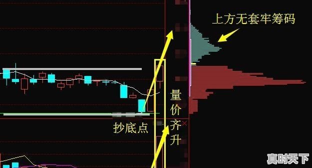 涨到害怕！比亚迪强势涨停，长城汽车紧急公告，谁在“推波助澜” - 真时天下