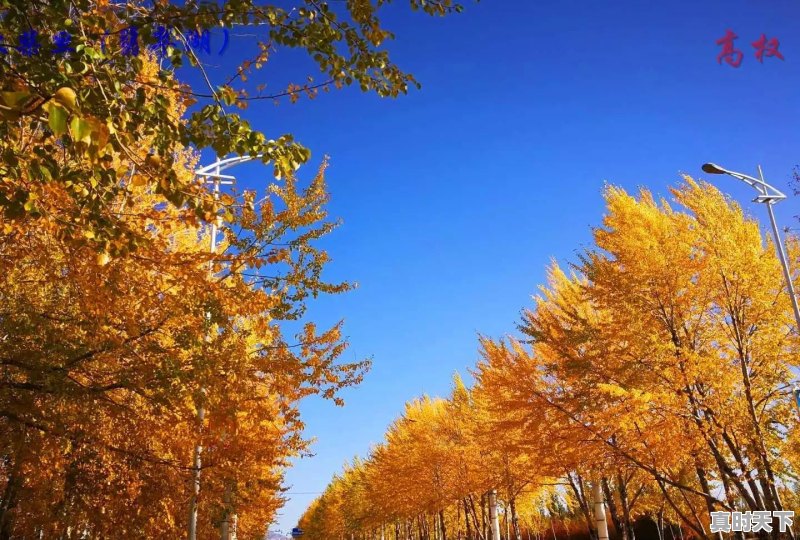 从南京出发去青海湖，旅途中有哪些重要景点，该如何规划路线 - 真时天下