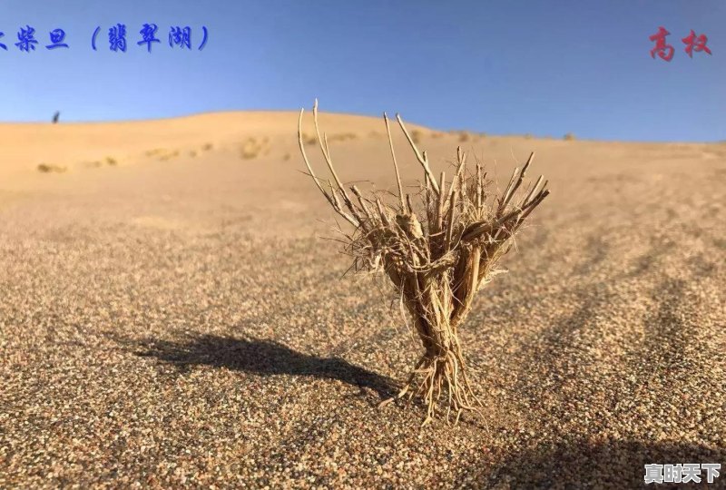 从南京出发去青海湖，旅途中有哪些重要景点，该如何规划路线 - 真时天下