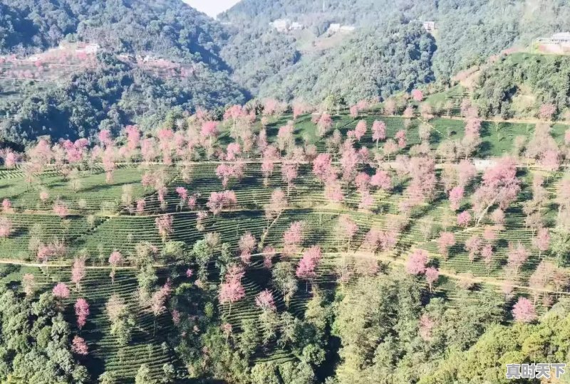 三，四月份西藏的天气怎么样 - 真时天下