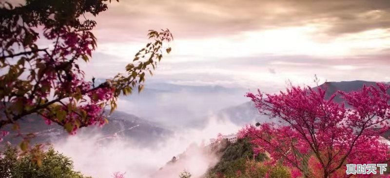 三，四月份西藏的天气怎么样 - 真时天下