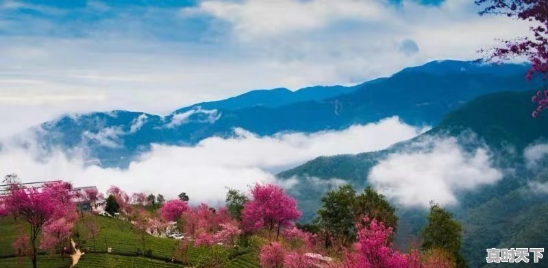 三，四月份西藏的天气怎么样 - 真时天下