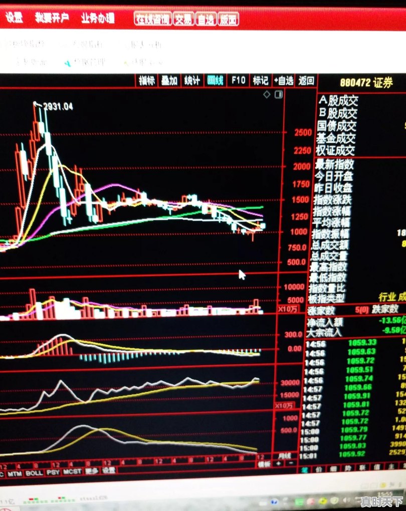 如果想长期持有5只股票，你会分别选什么行业 - 真时天下