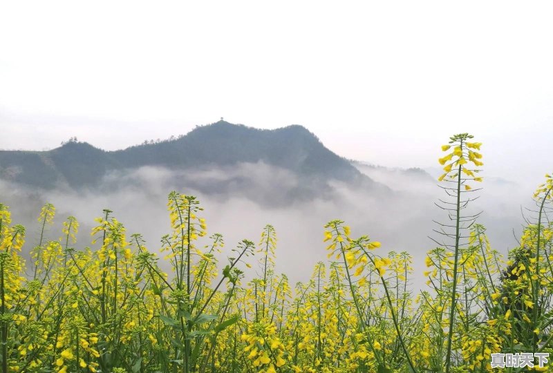 春，夏，秋，冬，四季，你更喜欢哪个季节拍照 - 真时天下