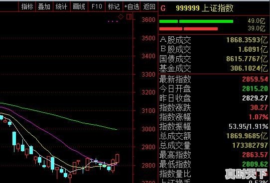 大盘调整的警报是否已解除 - 真时天下