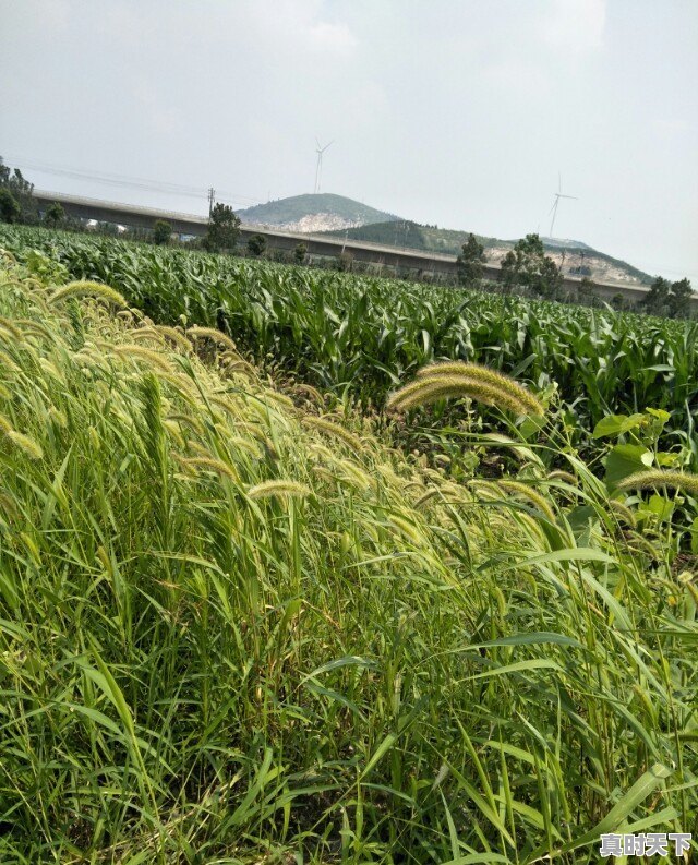 旅行途中，是否遇到过比风景本身更美、更值得珍藏的瞬间，而自己又乐意分享 - 真时天下