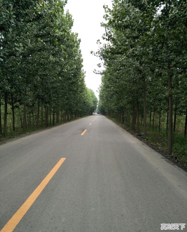 旅行途中，是否遇到过比风景本身更美、更值得珍藏的瞬间，而自己又乐意分享 - 真时天下