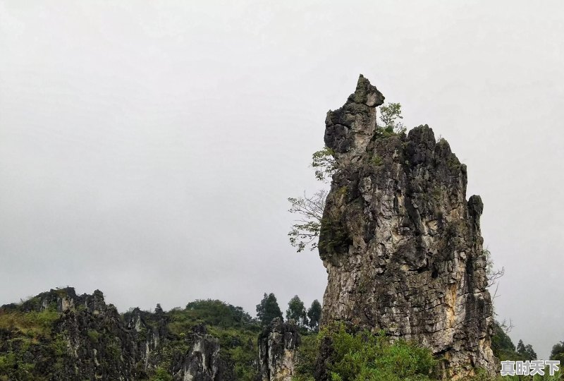 旅行途中，是否遇到过比风景本身更美、更值得珍藏的瞬间，而自己又乐意分享 - 真时天下