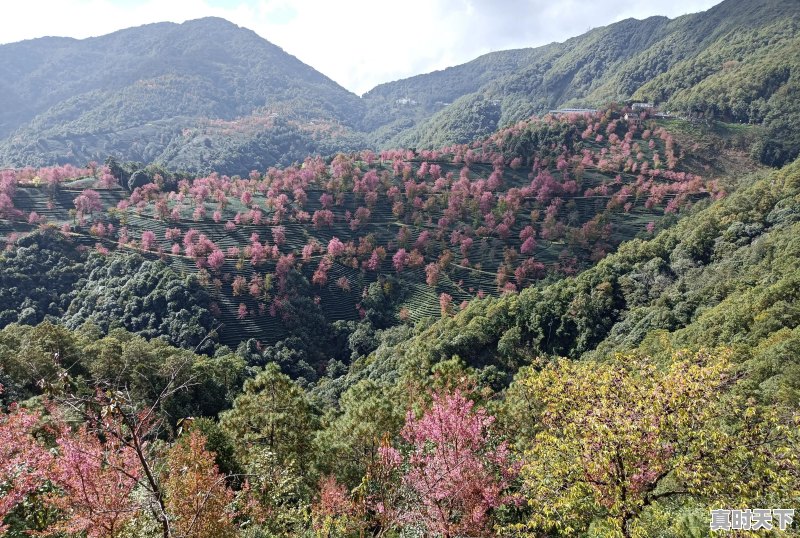 旅行途中，是否遇到过比风景本身更美、更值得珍藏的瞬间，而自己又乐意分享 - 真时天下