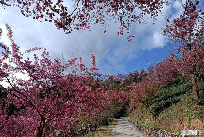 旅行途中，是否遇到过比风景本身更美、更值得珍藏的瞬间，而自己又乐意分享 - 真时天下