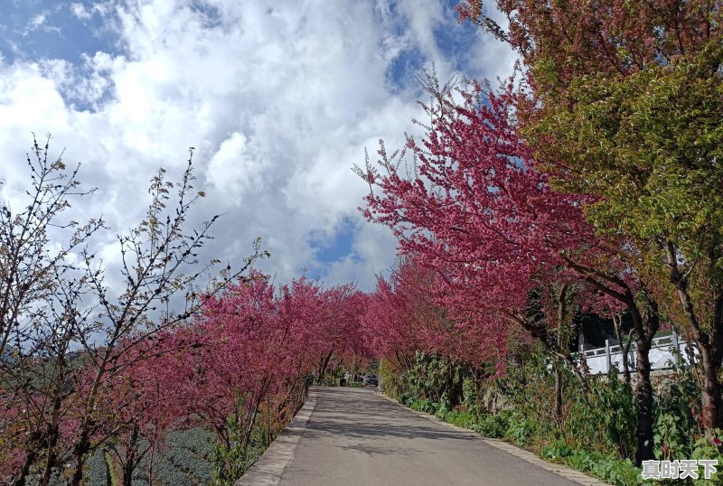 旅行途中，是否遇到过比风景本身更美、更值得珍藏的瞬间，而自己又乐意分享 - 真时天下