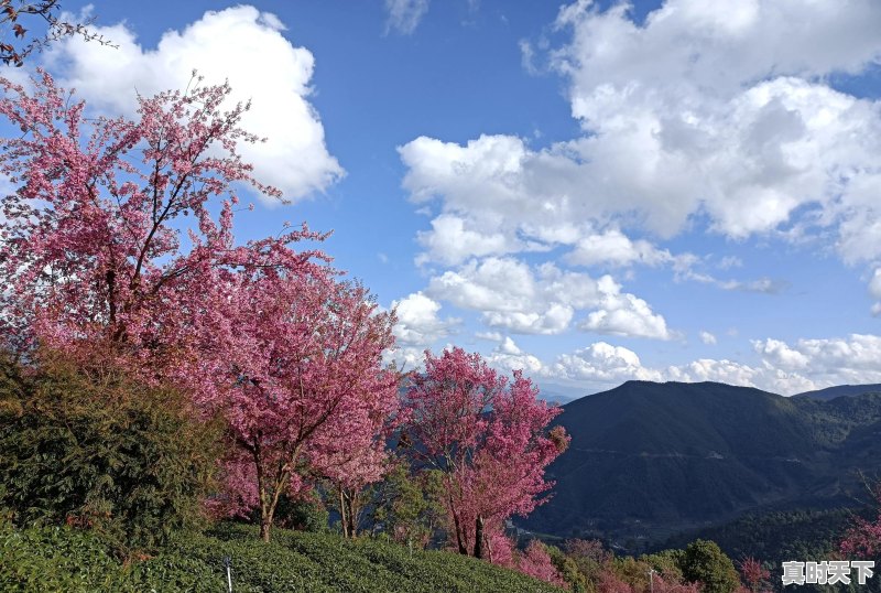 旅行途中，是否遇到过比风景本身更美、更值得珍藏的瞬间，而自己又乐意分享 - 真时天下