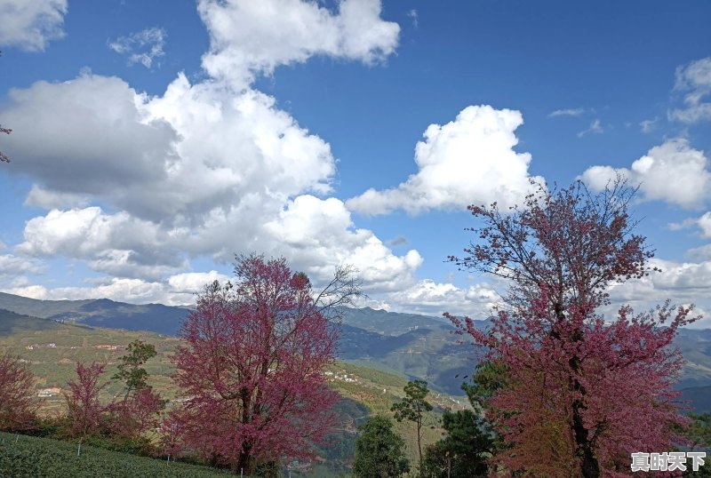 旅行途中，是否遇到过比风景本身更美、更值得珍藏的瞬间，而自己又乐意分享 - 真时天下