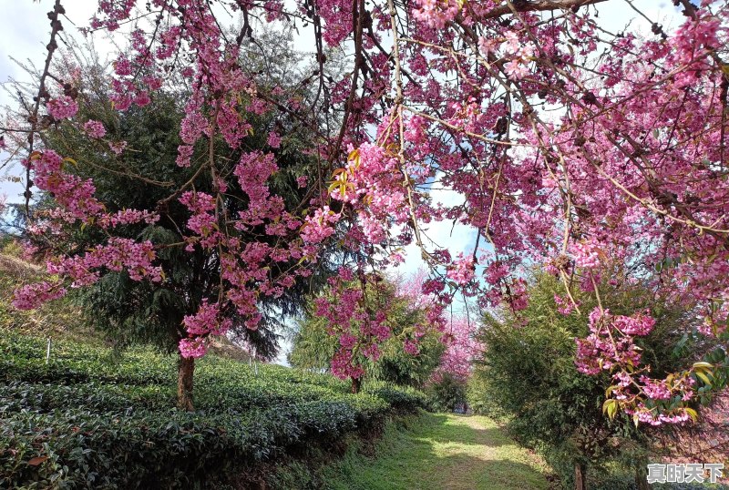 旅行途中，是否遇到过比风景本身更美、更值得珍藏的瞬间，而自己又乐意分享 - 真时天下