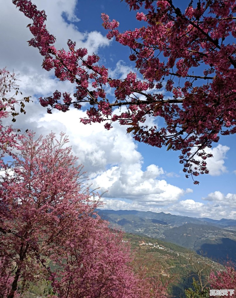 旅行途中，是否遇到过比风景本身更美、更值得珍藏的瞬间，而自己又乐意分享 - 真时天下