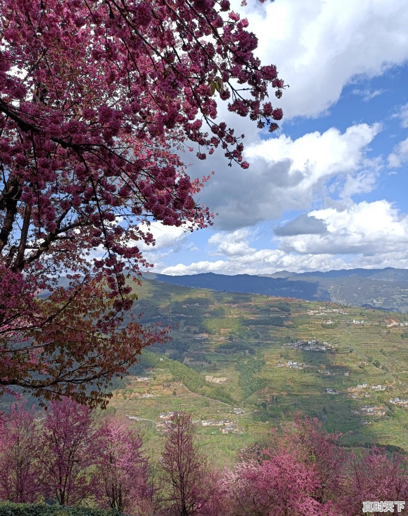 旅行途中，是否遇到过比风景本身更美、更值得珍藏的瞬间，而自己又乐意分享 - 真时天下