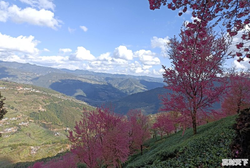 旅行途中，是否遇到过比风景本身更美、更值得珍藏的瞬间，而自己又乐意分享 - 真时天下