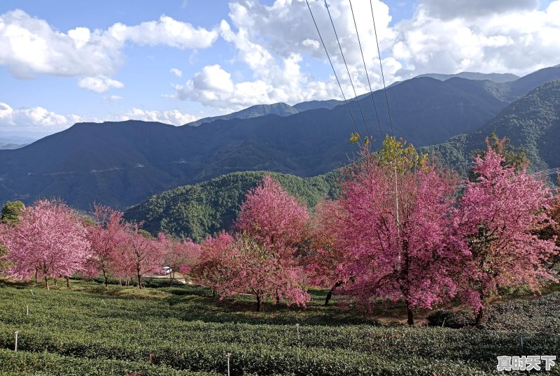 旅行途中，是否遇到过比风景本身更美、更值得珍藏的瞬间，而自己又乐意分享 - 真时天下