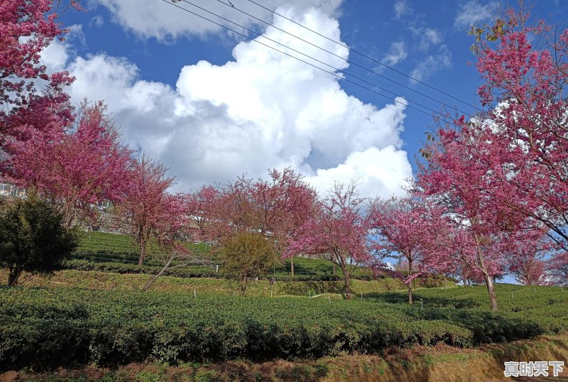 旅行途中，是否遇到过比风景本身更美、更值得珍藏的瞬间，而自己又乐意分享 - 真时天下