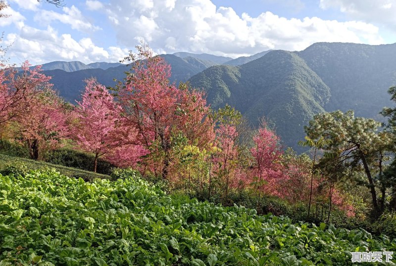 旅行途中，是否遇到过比风景本身更美、更值得珍藏的瞬间，而自己又乐意分享 - 真时天下