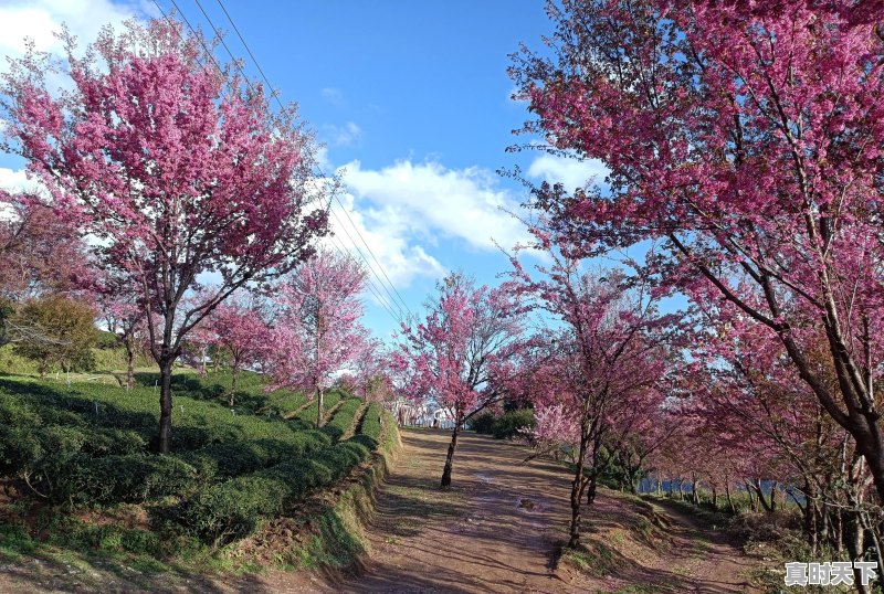 旅行途中，是否遇到过比风景本身更美、更值得珍藏的瞬间，而自己又乐意分享 - 真时天下