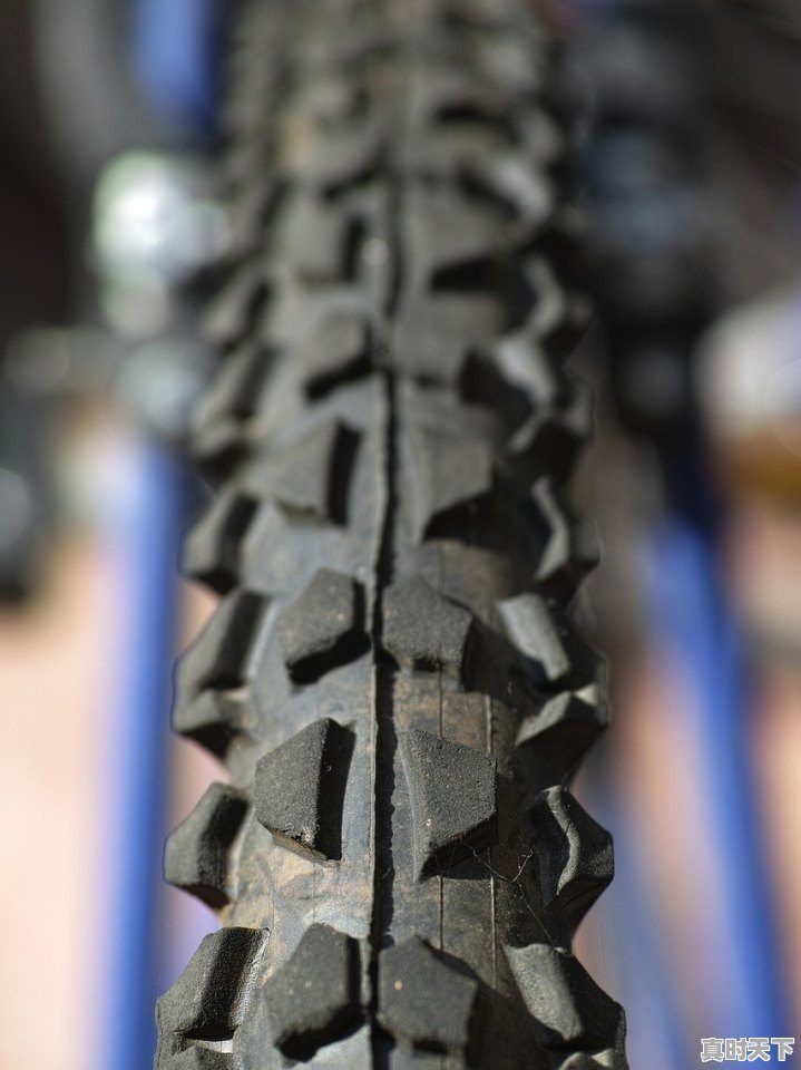 音乐垂直领域，细化下来有哪些 - 真时天下