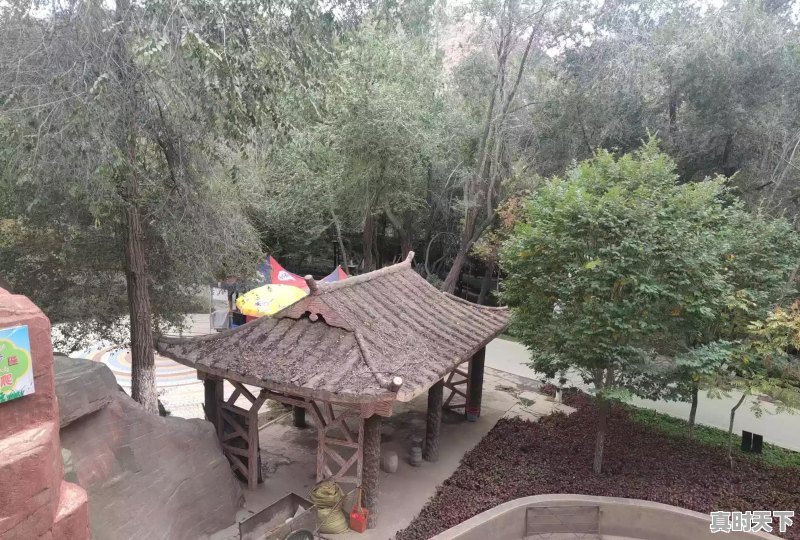 去哪里玩好呢 - 真时天下