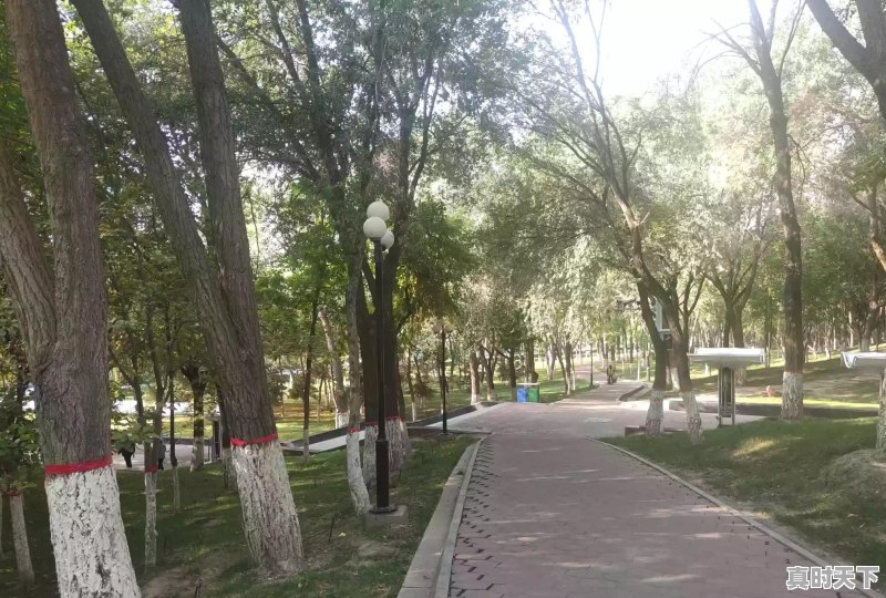 去哪里玩好呢 - 真时天下