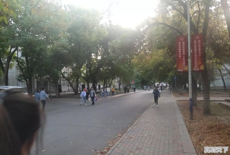 去哪里玩好呢 - 真时天下