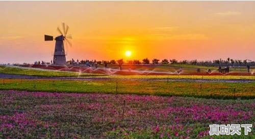 芜湖市有什么好玩的地方 - 真时天下