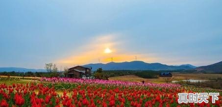 芜湖市有什么好玩的地方 - 真时天下