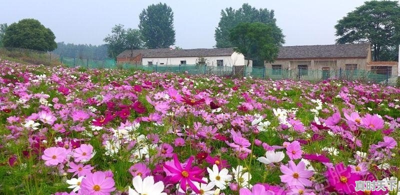 芜湖市有什么好玩的地方 - 真时天下