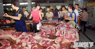 今日猪价涨了么 - 真时天下