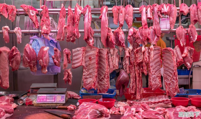 今日猪价涨了么 - 真时天下