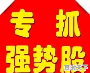 为什么好多推荐股票的让加群，说群内指导或买某股票软件 - 真时天下